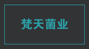 食品行业泰州姜堰区工作服设计款式